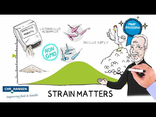 Why Strain Matters (Spanish subtitles)