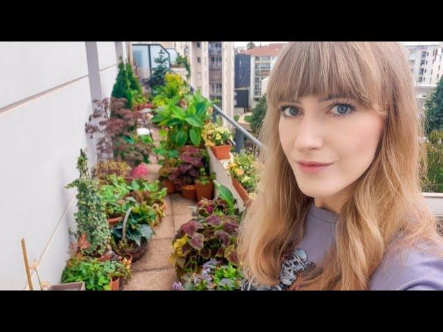 Balcony Garden Maintenance in Summer ️ | 17m2garden