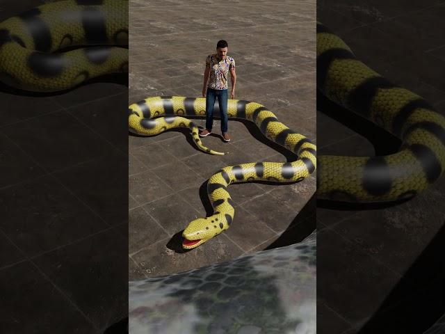 Titanoboa Vs  Anaconda