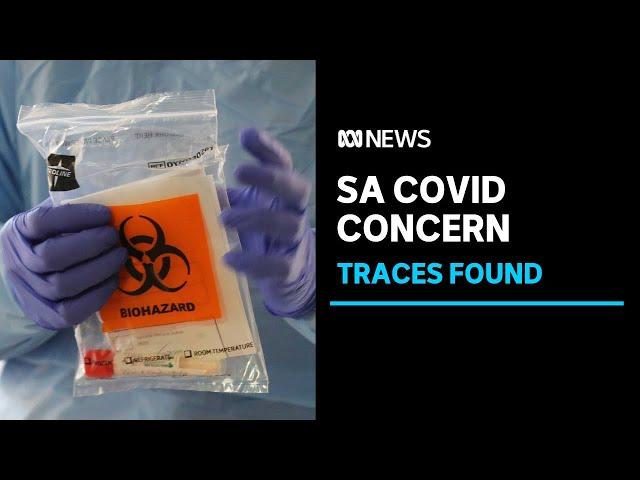 SA Health alarmed at COVID-19 traces in Adelaide wastewater | ABC News