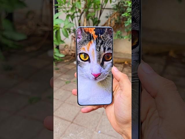 Xiaomi 15 Ultra Camera Test 