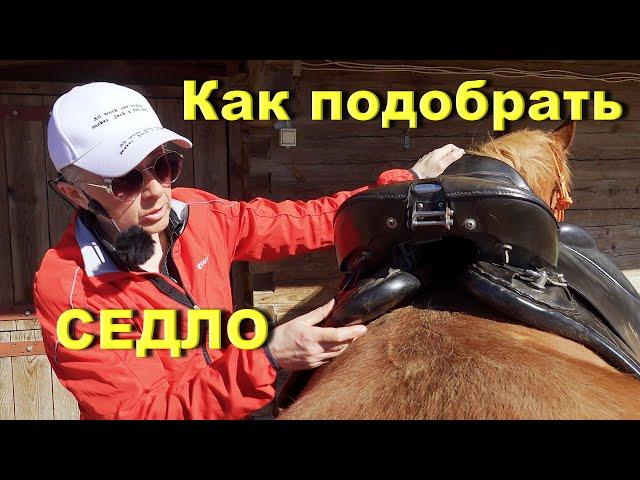 Как подобрать седло для лошади. Изготовление шаблона.