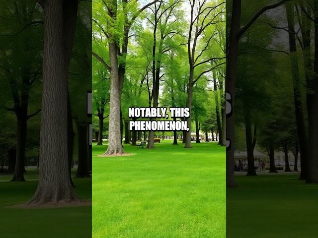Enhancing Focus with Nature Exposure