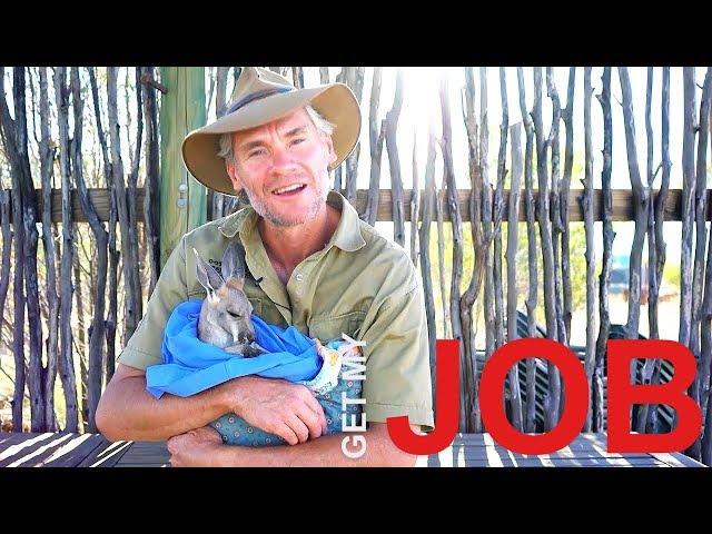 Be A Wildlife Carer | Get My Job