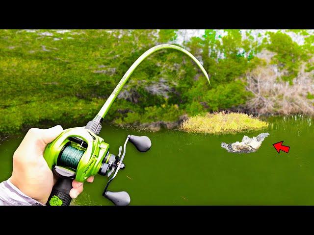 Fishing BIG Swimbaits for 15lb Bass in HIDDEN Trophy Pond!