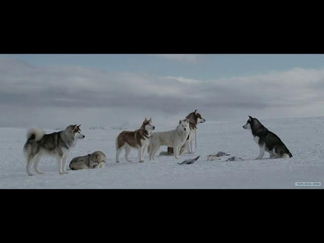 Eight Below/Белый плен - Adiemus