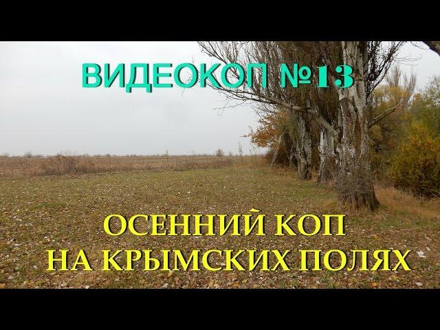 Видеозарисовки о копе №13 Осенний коп на Крымских полях