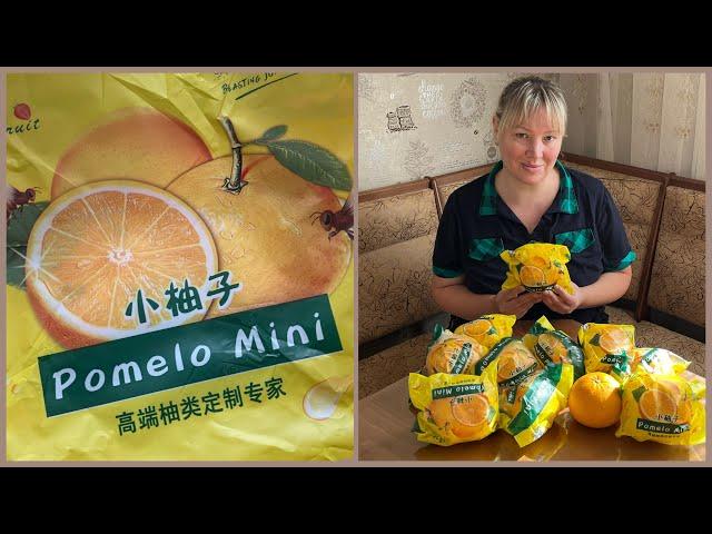 Мини Помело. Определяем сорт  Pomelo mini.