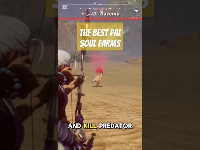 The BEST Pal Soul Farms