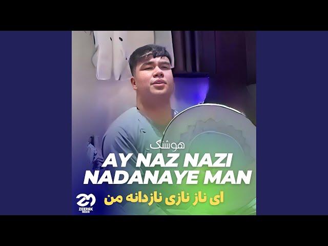 Ay Naz Nazi Nadanaye man