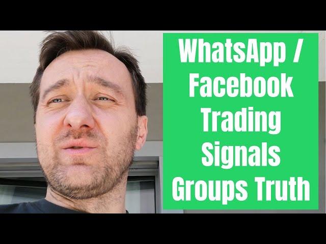  Beware of WhatsApp Stock Signals Trading Groups | Vampire Stock