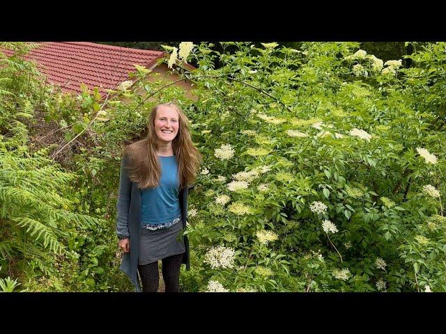 Summer Starts Here: Hard Work Renovating & Cutting Overgrowth with Friends!