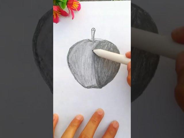 An Apple 3-D Sketch || Little Sketch Diary #ArtProcess #AppleDrawing #FruitSketch #RealisticApple