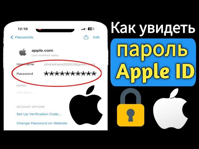 Как посмотреть пароль Apple ID на iPhone 2024 г | Как посмотреть пароль Apple ID, если вы его забыли