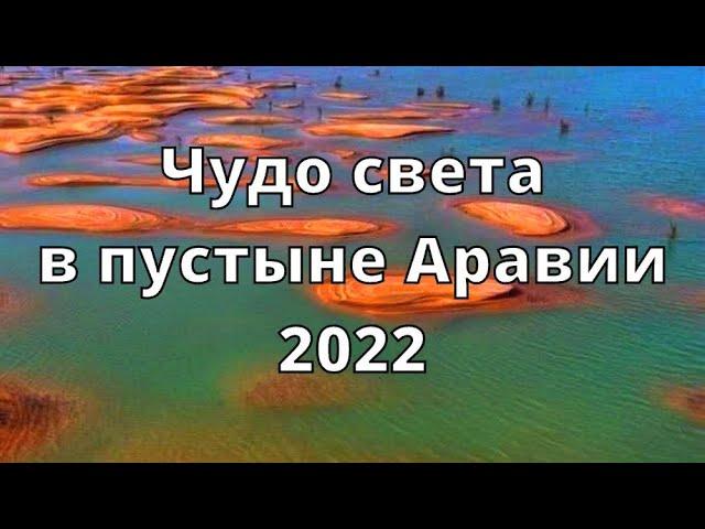 Чудеса света в пустыне! Саудовская пустыня превращается в тысячи озёр