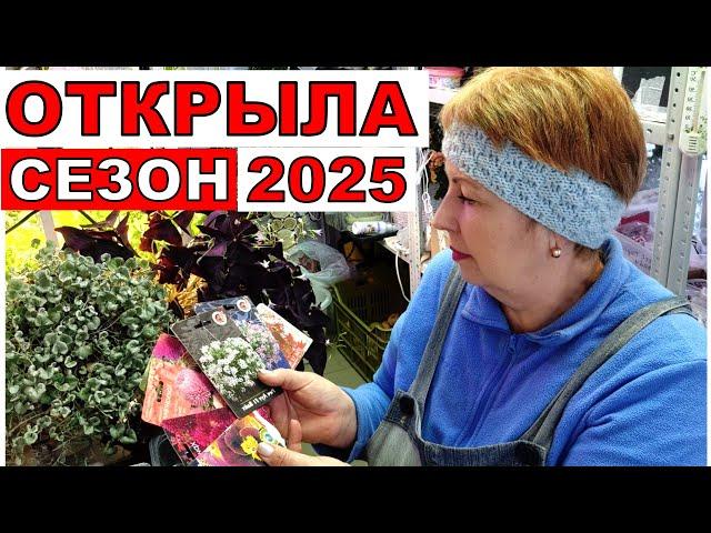 Какие культуры цветов и овощей буду сеять в январе? Сезон посева на 2025 год открыла