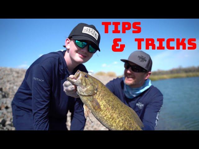 Bed Fishing For Beginners! Breakdown On How To Get People Into Bass Fishing!