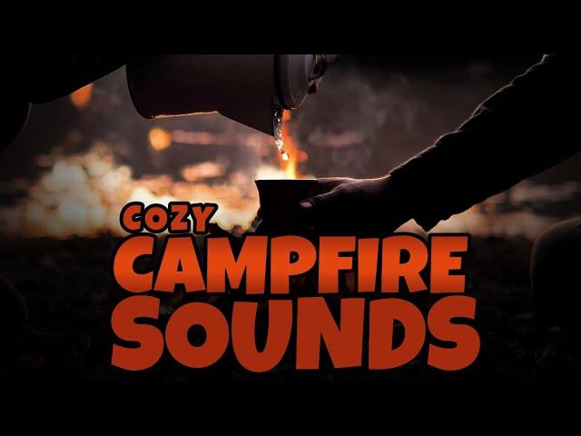  2H of Cozy Campfire in the Forest  | キャンプファイヤー | かわいい | 綺麗な | 居心地の良い| Красота | Костер