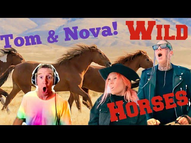 Tom Macdonald  & Nova Rockefeller  - WILD HORSES * REACTION!* 