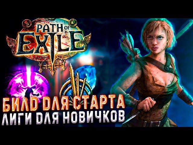 ЛУЧШИЙ БИЛД ДЛЯ СТАРТА ЛИГИДЛЯ НОВИЧКОВ ПОЕ | Path of Exile - 3.24 