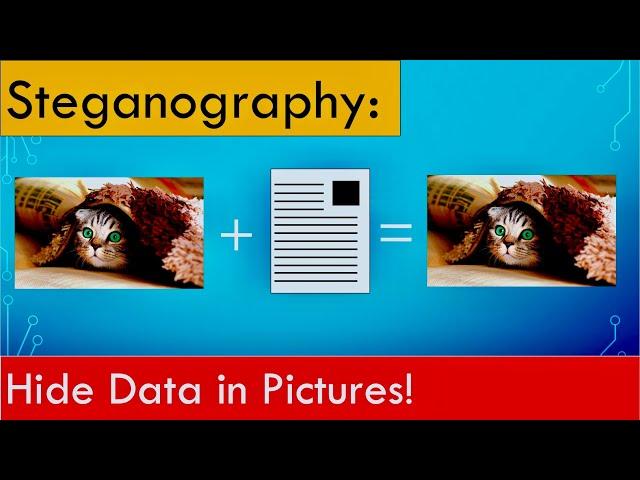 Steganography: Find hidden data in pictures and other files!