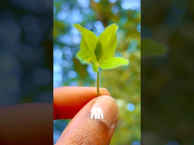 Cultivate a unbreakable mindset 