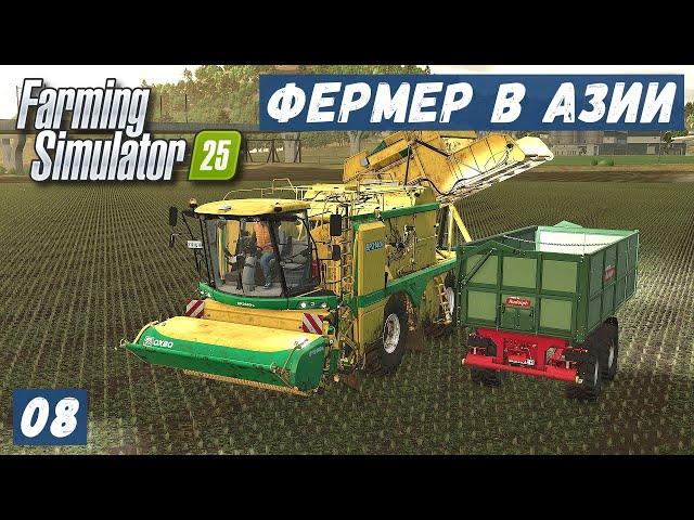 FS 25 - ФЕРМЕР в АЗИИ.  Убираю стрючковый ФАСОЛЬ. Тащу огромное ДЕРЕВО.  Фасоль на ПЕРЕРАБОТКУ # 08