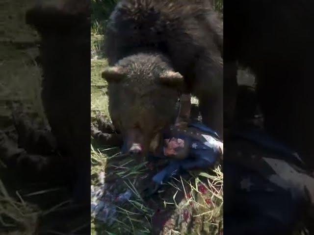 Bear attacks in this game are BRUTAL RDR2