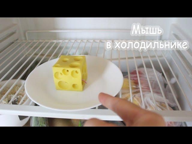 Мышь в холодильнике