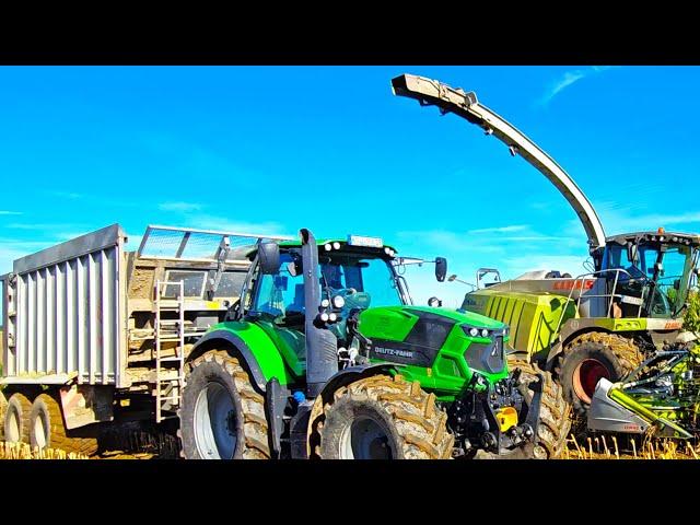 Deutz TTV Trio impulsiv mit Jaguar 970 Dynamic Power & Fendt 311 Vario bei Maissilage 2024