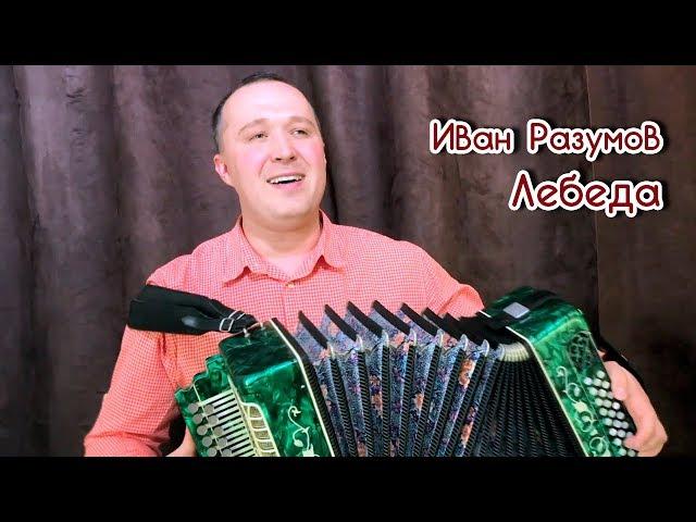 Лебеда трава зелёная - Иван Разумов на гармошке