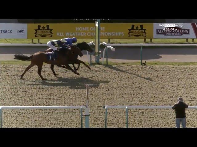 Rab Havlin gets 21 DAY BAN for this ride at Lingfield aboard Stowell...