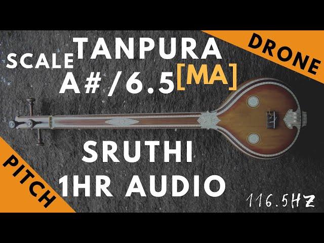 Tanpura Sruthi - Drone - A# Scale or 6.5 Kattai - Ma (Madhyamam/ Madhyam) - 116.54Hz