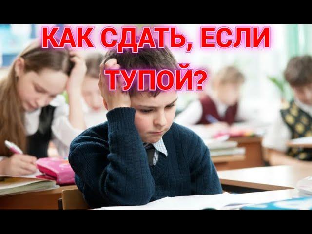 КАК СДАТЬ ОГЭ, ЕСЛИ ТЫ НИЧЕГО НЕ ЗНАЕШЬ? ЛИЧНЫЙ ОПЫТ!