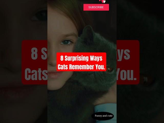 8 Surprising Ways Cats Remember You #viralvideo #cat #shortvideo