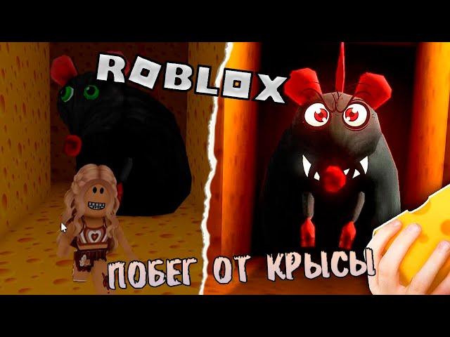 ROBLOX БЕГАЮ ОТ КРЫСЫ В ЛАБИРИНТЕ/Сумасшедшая крыса преследует нас * Cheese Escape *