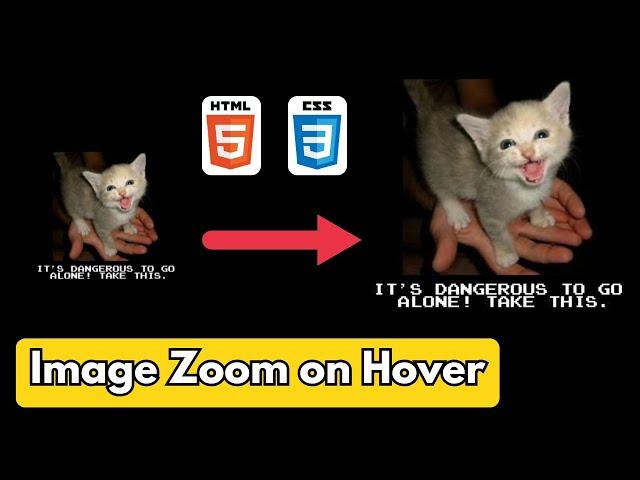 How to Zoom Image on Hover using HTML & CSS