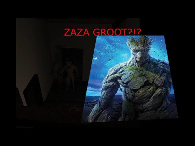 Cleaning Service | i met zaza groot.