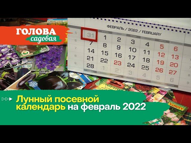 Голова садовая - Лунный посевной календарь на февраль 2022