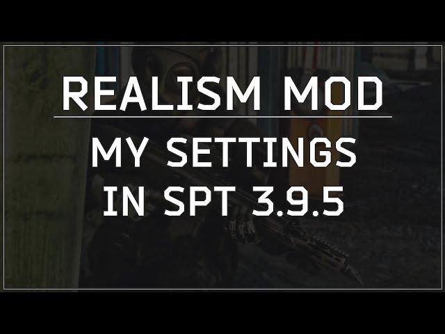 My SPT Realism Mod settings