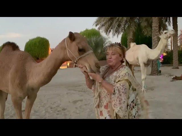 German Woman Lives With 40 Camels In Dubai Desert