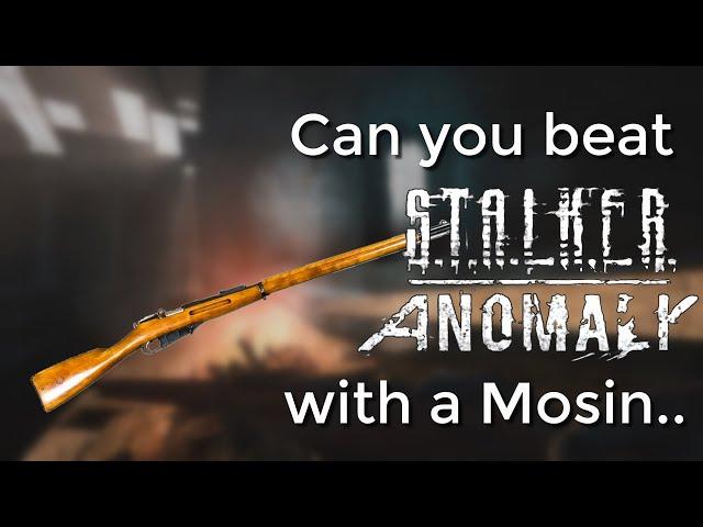 Can you beat STALKER Anomaly with a Mosin?