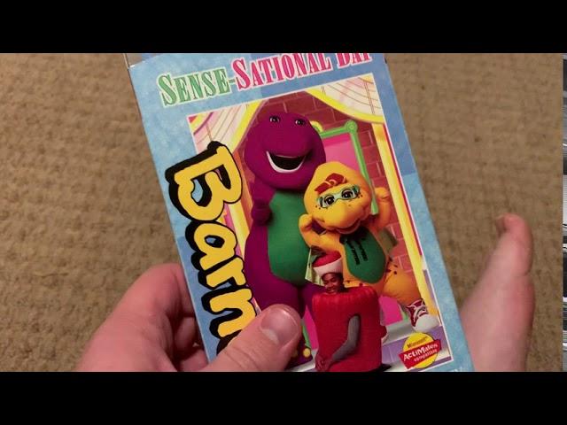 My Barney VHS & DVD Collection (2020 edition)