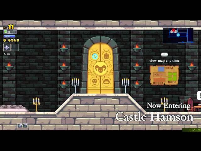 Rogue Legacy in 13:41 (WR from v1.0.9)