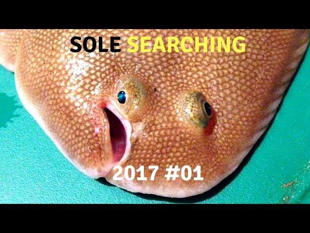 Fishing Brothers - Sole Fishing South Wales