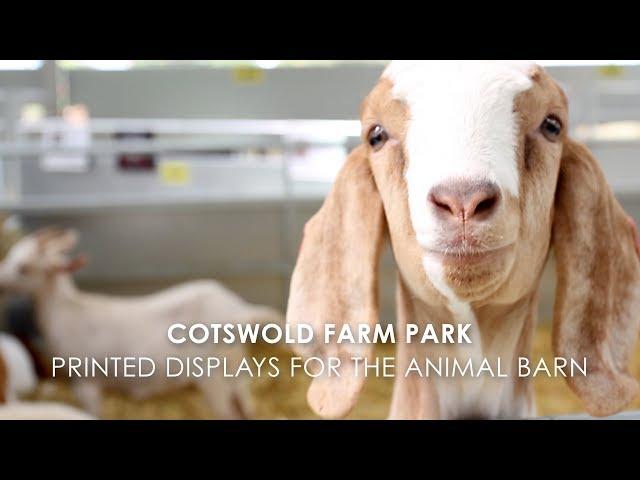 Cotswold Farm Park - The Animal Barn