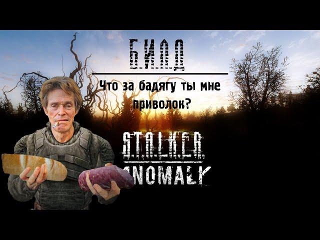 БИЛД S.T.A.L.K.E.R ANOMALY