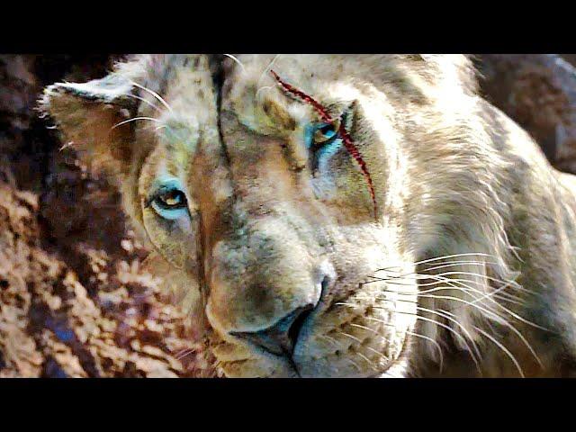 MUFASA THE LION KING "How Scar Got His Scar Scene" Trailer (NEW 2024)