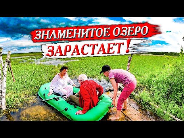 Shaitan Lake is overgrown! Grace is in a mystical place. Okunevo village, Omsk region.