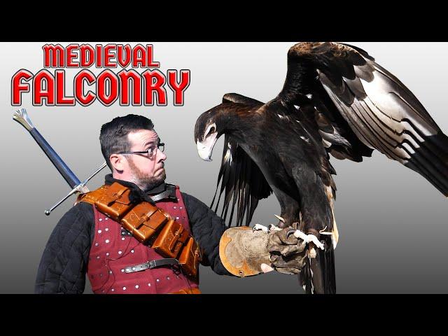 Medieval FALCONRY was AMAZING!